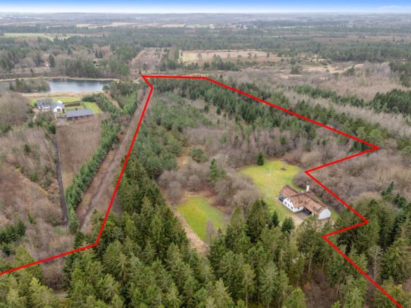 Brande – 7,5 ha skov – Jagthytte – Poolhus