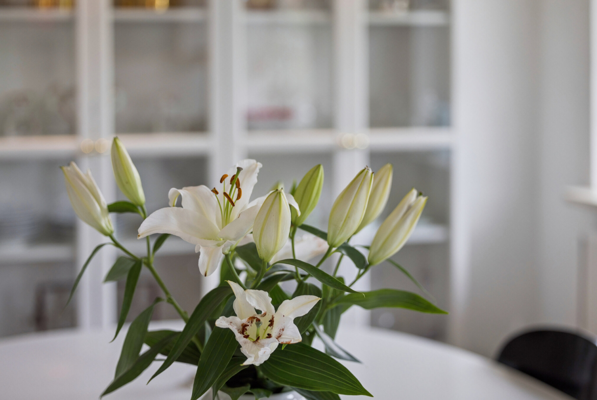 Villa, strand, havn – Kerteminde