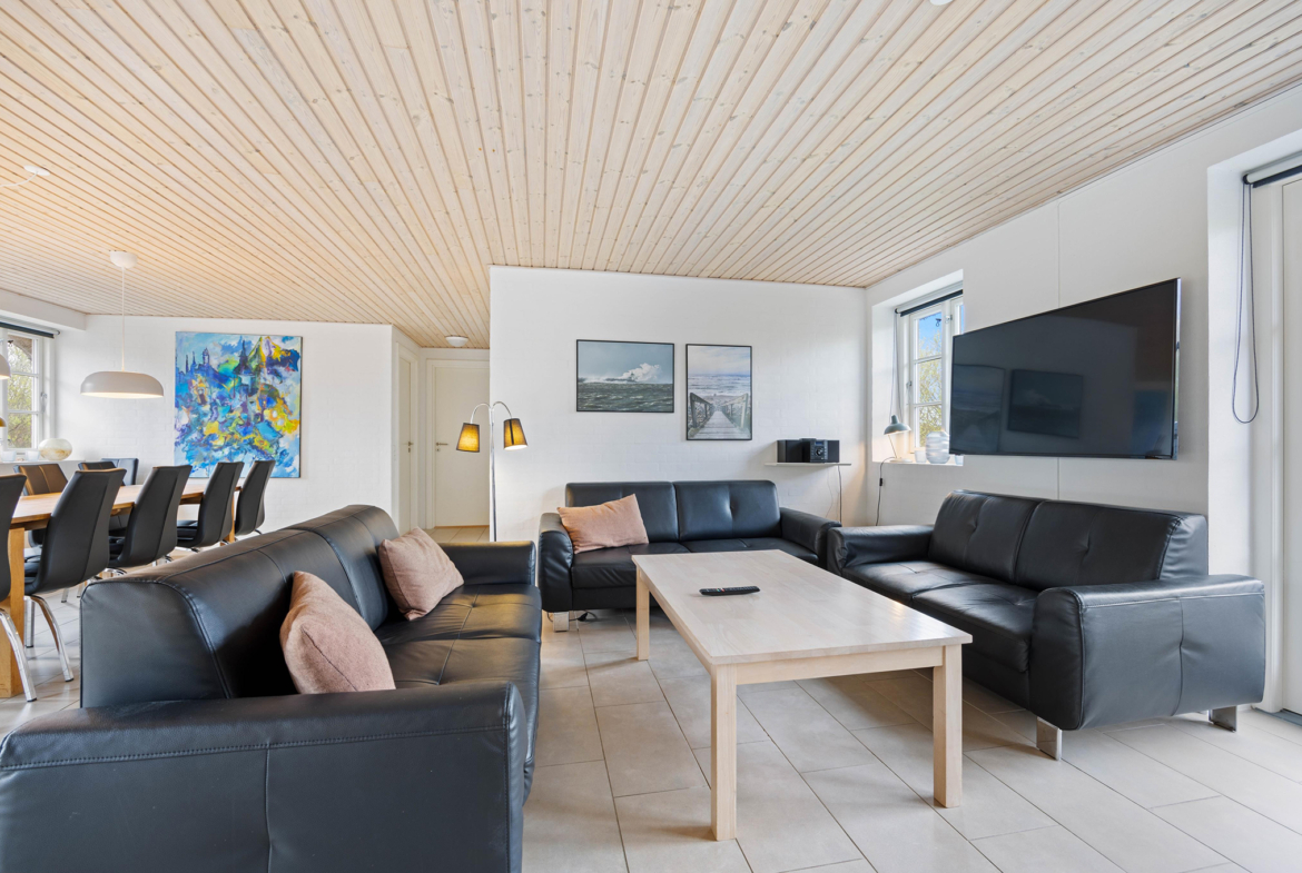 Vestjylland – luksussommerhus-stråtag